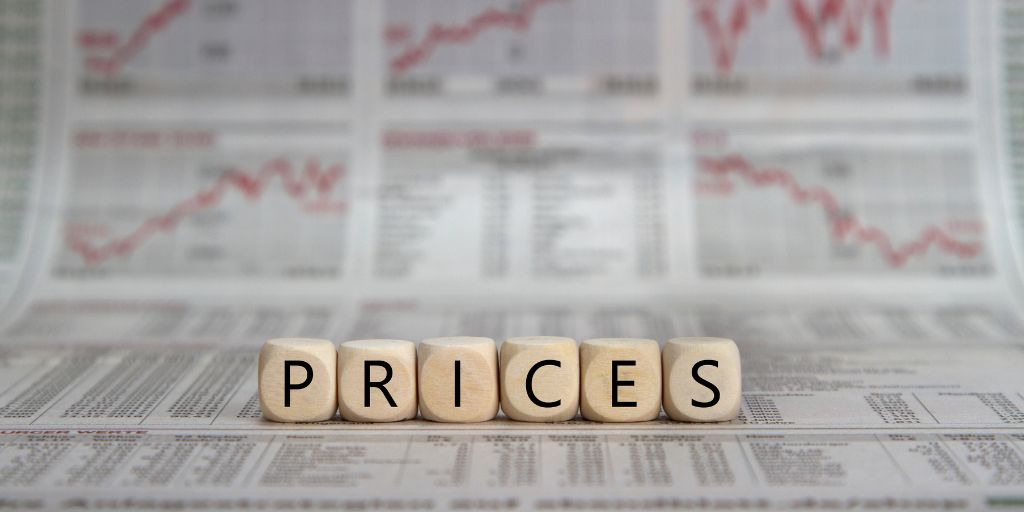What are the 4 levels of pricing maturity? 